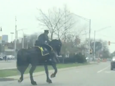 Image: Video of a Detroit horse cop pulling someone over has gone viral