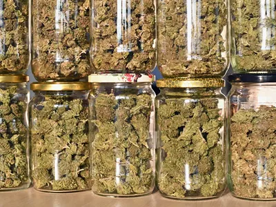 Image: Pot is legal in Michigan this week, but there's nowhere to buy it