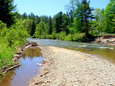 The Pine River in the Manistee National Forest.