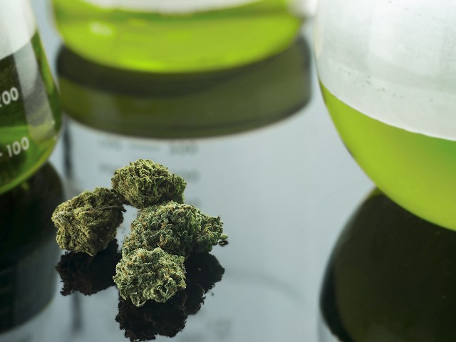 THC, CBD, CBN: The ABCs of pot could lead to a new understanding of the plant's effects.