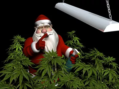 Image: Happy holi-daze