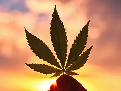 Marijuana could be a big deal in the 2020 presidential election.
