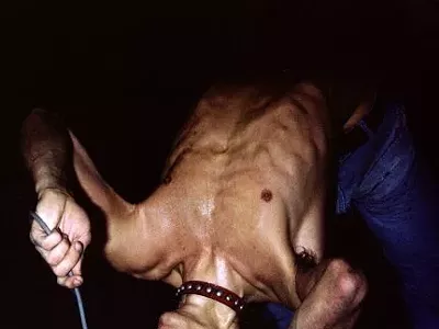 Image: Third Man to release book on the Stooges by Iggy Pop late this year