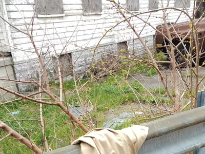 Image: In a southwest Detroit alley, a friendship of circumstance