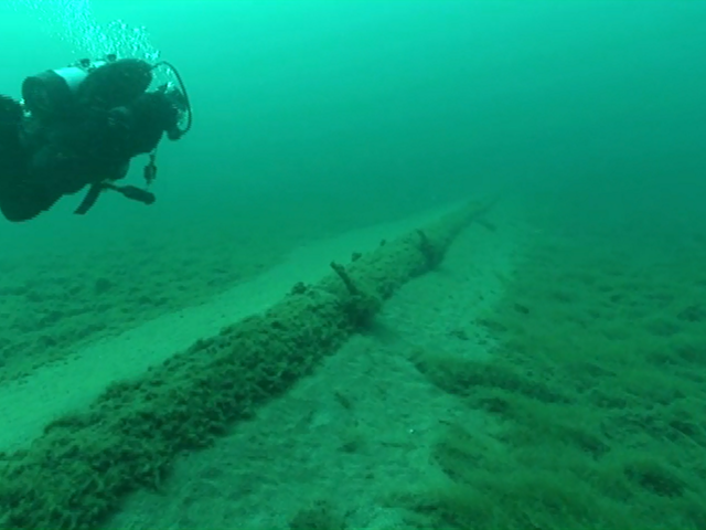 In 2013, the National Wildlife Federation sent divers to look at Enbridge, Inc.'s aging straits pipelines, finding wide spans of unsupported structures encrusted with exotic zebra mussels and quagga mussels.