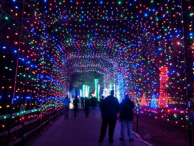 The insane amount of lights at "Wild Lights" at the Detroit Zoo.