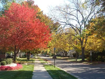 Neighborhood street in Rochester