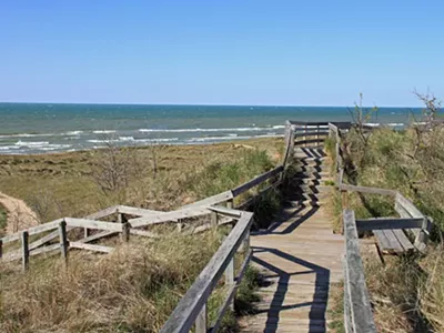 New Buffalo Beach.