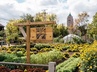 Image: On urban farming and 'colonialism' in Detroit's North End neighborhood