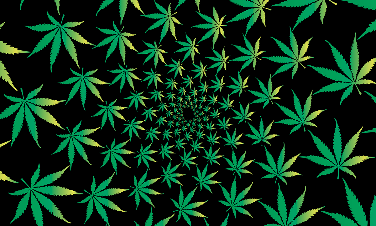 Image: The symbolic power of the marijuana leaf