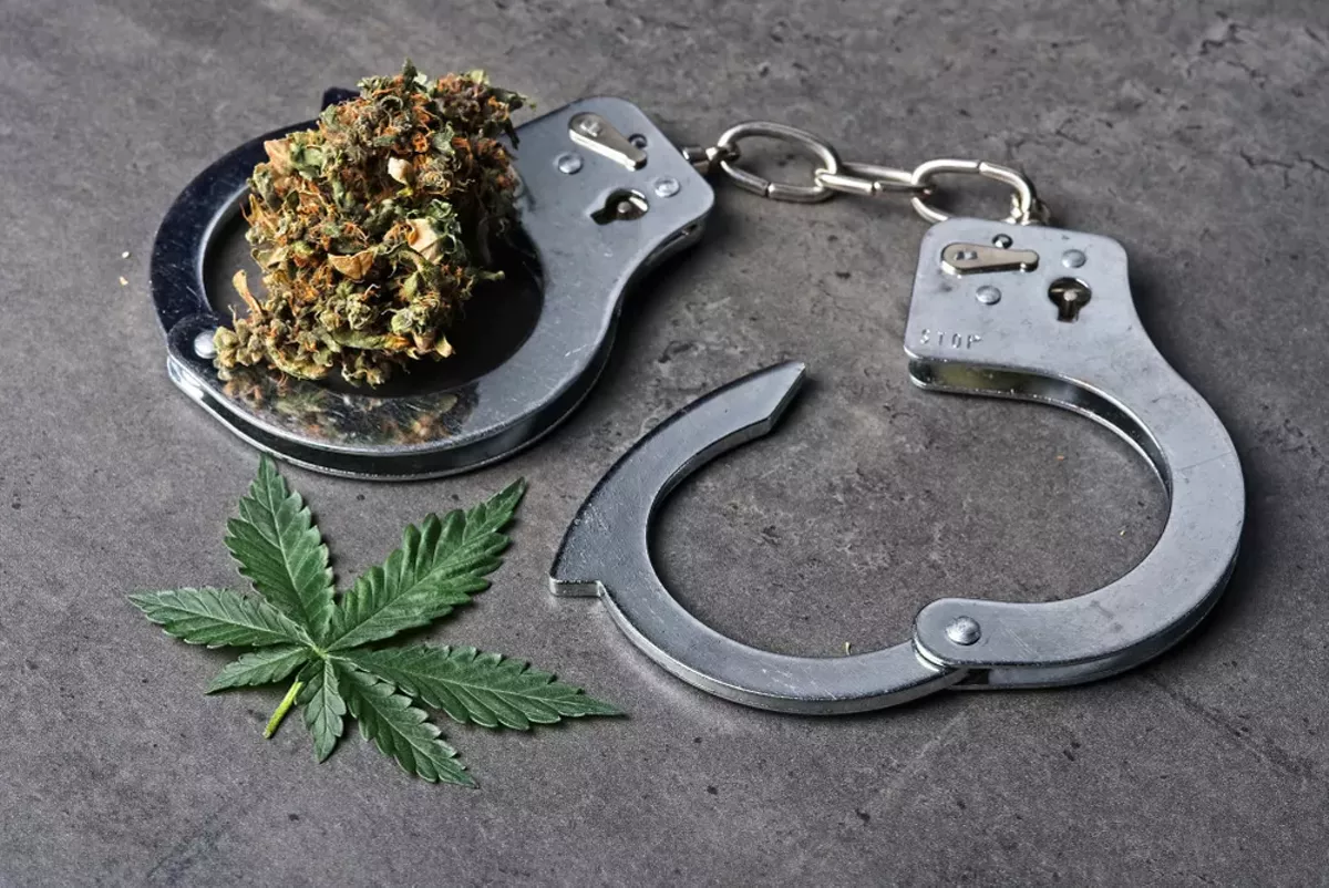 Image: New marijuana expungement bills are a sea change for how Michigan treats marijuana entrepreneurs