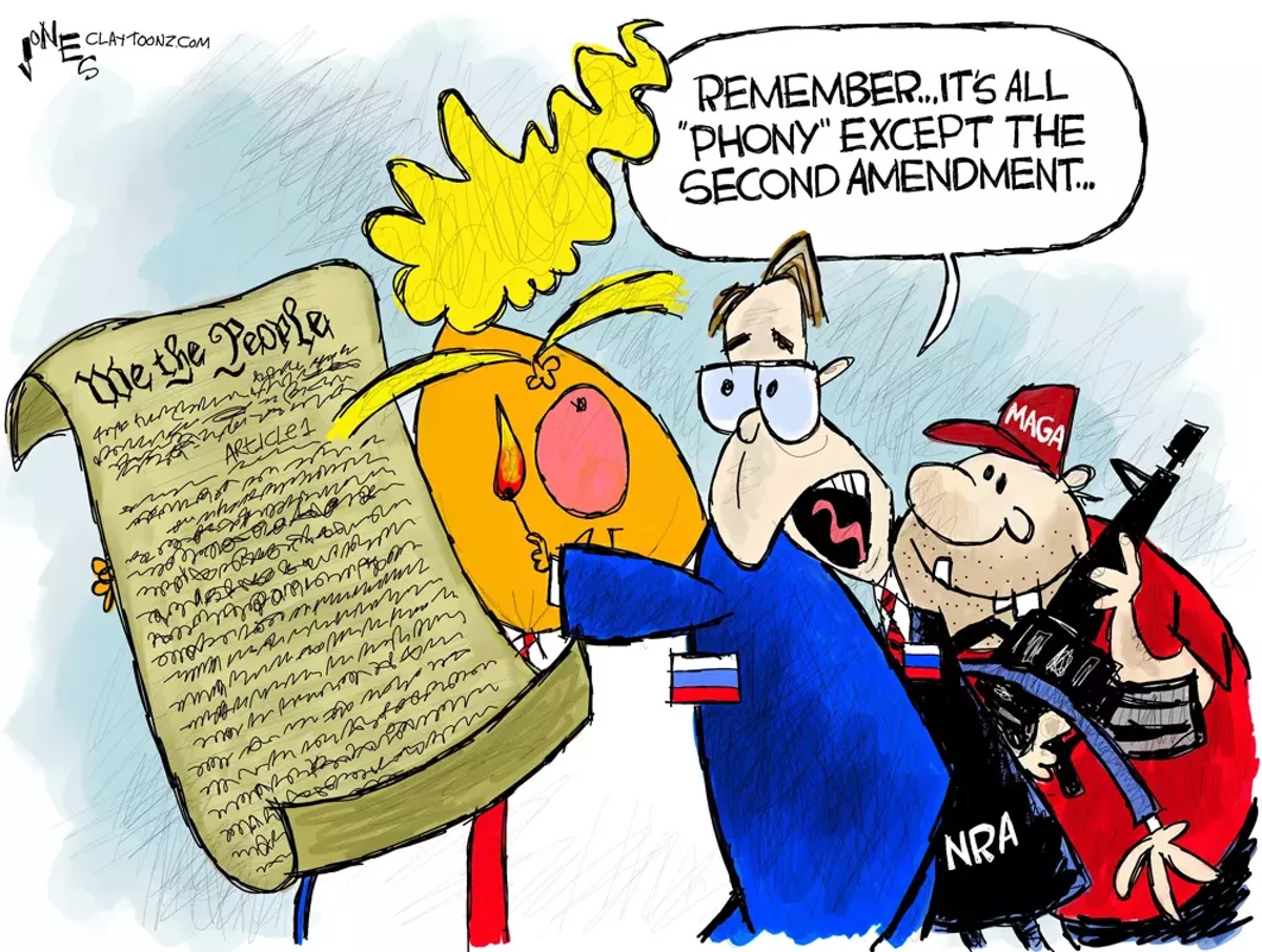 Image: Phony Constitution