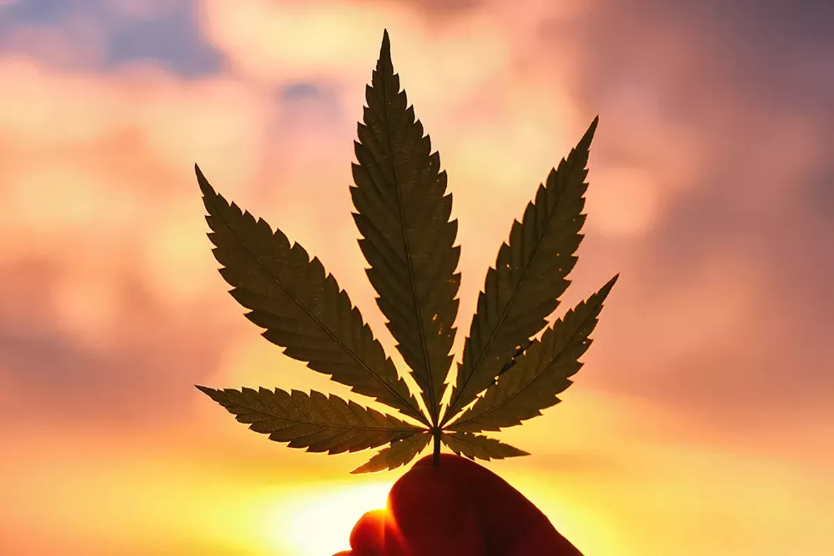 Image: Marijuana could be a big deal in the 2020 presidential election.