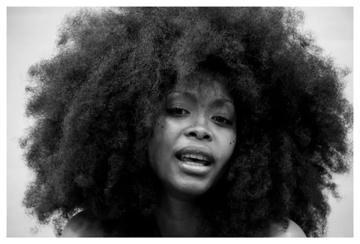 erykah_badu.webp