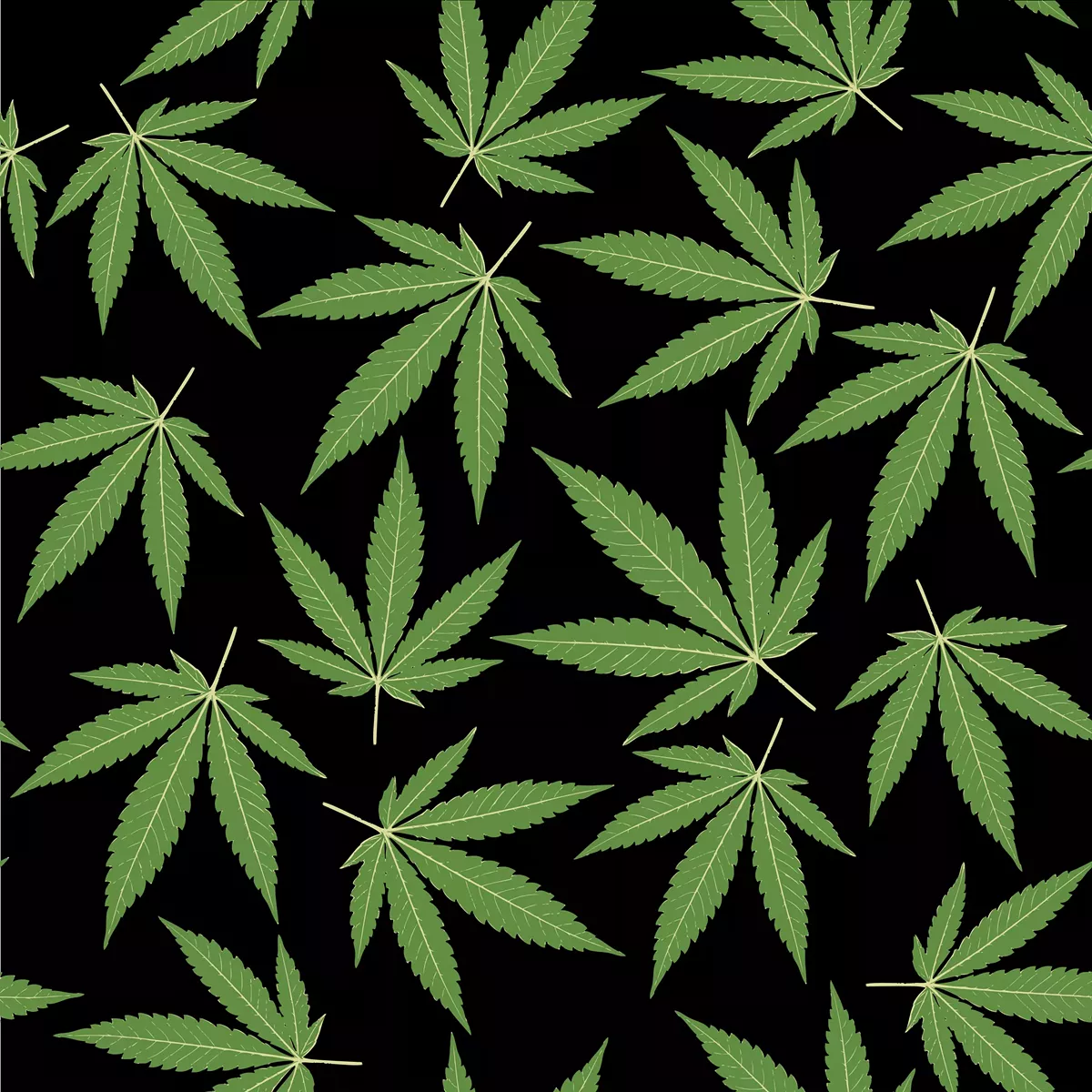 Image: Detroit chooses to overrule the people and fight pot proposals