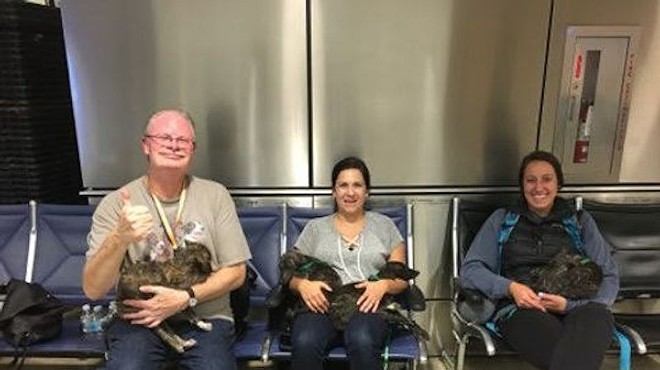 Metro Detroit man's rescue puppies comfort strangers in Seattle plane hijacking