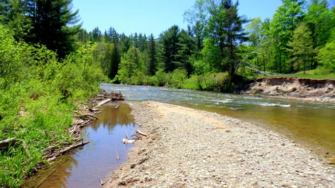 The Pine River in the Manistee National Forest.