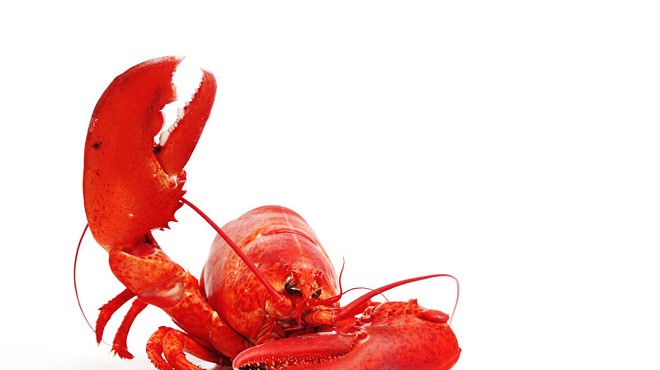 Savage Love: Consider the extra lobster