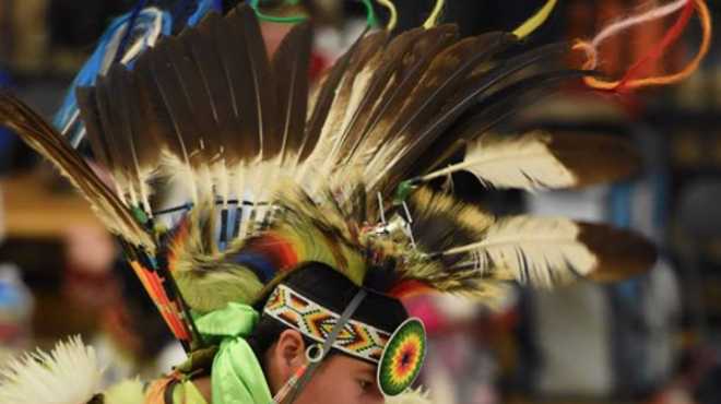 47th annual Dance for Mother Earth Powwow returns to Ann Arbor
