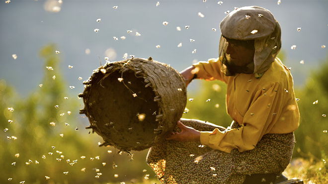 Image: Honeyland advance screening