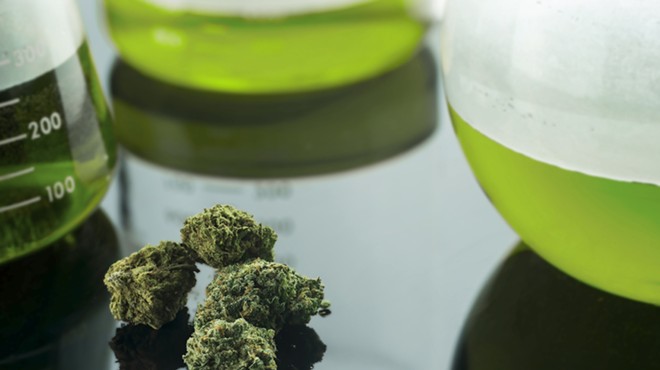 THC, CBD, CBN: The ABCs of pot could lead to a new understanding of the plant's effects.