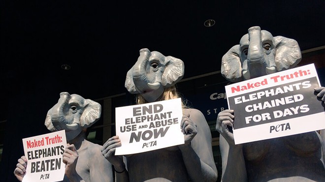 PETA protesters at a previous event in Detroit.