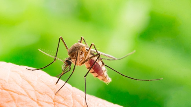 Health officials warn Michigan residents to be cautious of mosquito-borne diseases