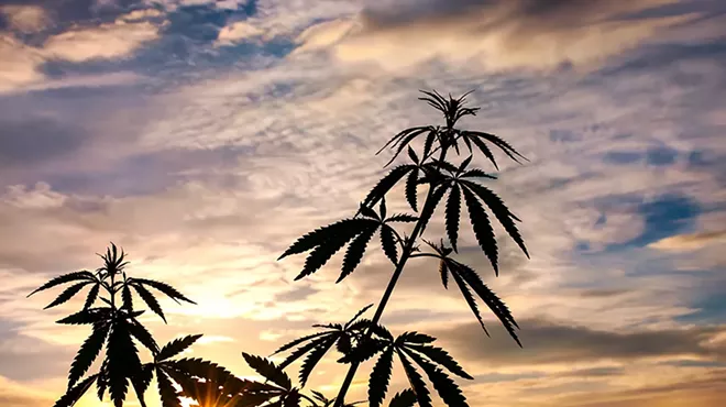 Should you grow marijuana indoors or outside?