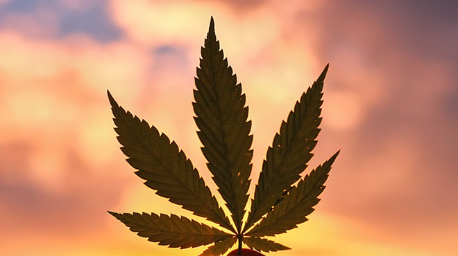 Marijuana could be a big deal in the 2020 presidential election.