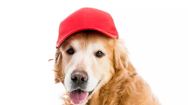 Image: Comerica Park to host first ever 'Bark at the Park'