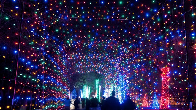 The insane amount of lights at "Wild Lights" at the Detroit Zoo.