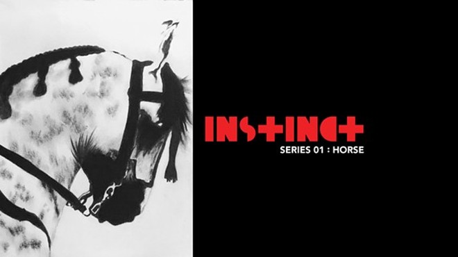 Instinct : Series 01 : Horse