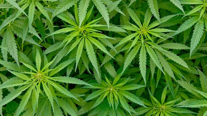 2018 Michigan marijuana legalization ballot effort reaches Lansing