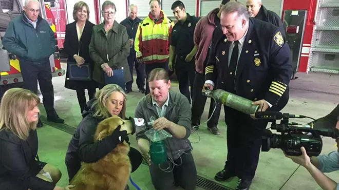 Image: Detroit Fire Department receives 800 pet oxygen masks