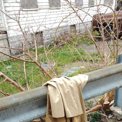 Image: In a southwest Detroit alley, a friendship of circumstance