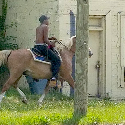 Image: The mysterious horseman of Northwest Detroit spotted again