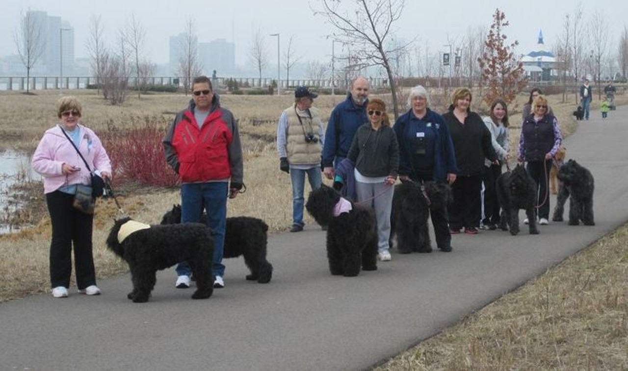 Canine to Five Winter Walks &#149; Canine to Five Winter Walks @ Riverfront and Dequindre Cut &#149; Take a winter stroll with your furry friend along the Dequindre Cut. Every second Sunday of the month, Canine to Five, a doggy daycare and grooming facility located in Midtown, hosts a &#147;pack walk&#148; along Riverfront and up the Dequindre Cut. Whether you own a dog or just love being around them, Winter Walks provides a great view of Detroit and a great way to keep your New Year's&#146; Resolution to stay fit and healthy. Every second Sunday of the month; 10:30 a.m. &#150; 12 p.m.: Rivard Plaza, 1340 Atwater St. Detroit: 313-831-3647: caninetofivedetroit.com: admission is free. ( Photo via Canine to Five website)