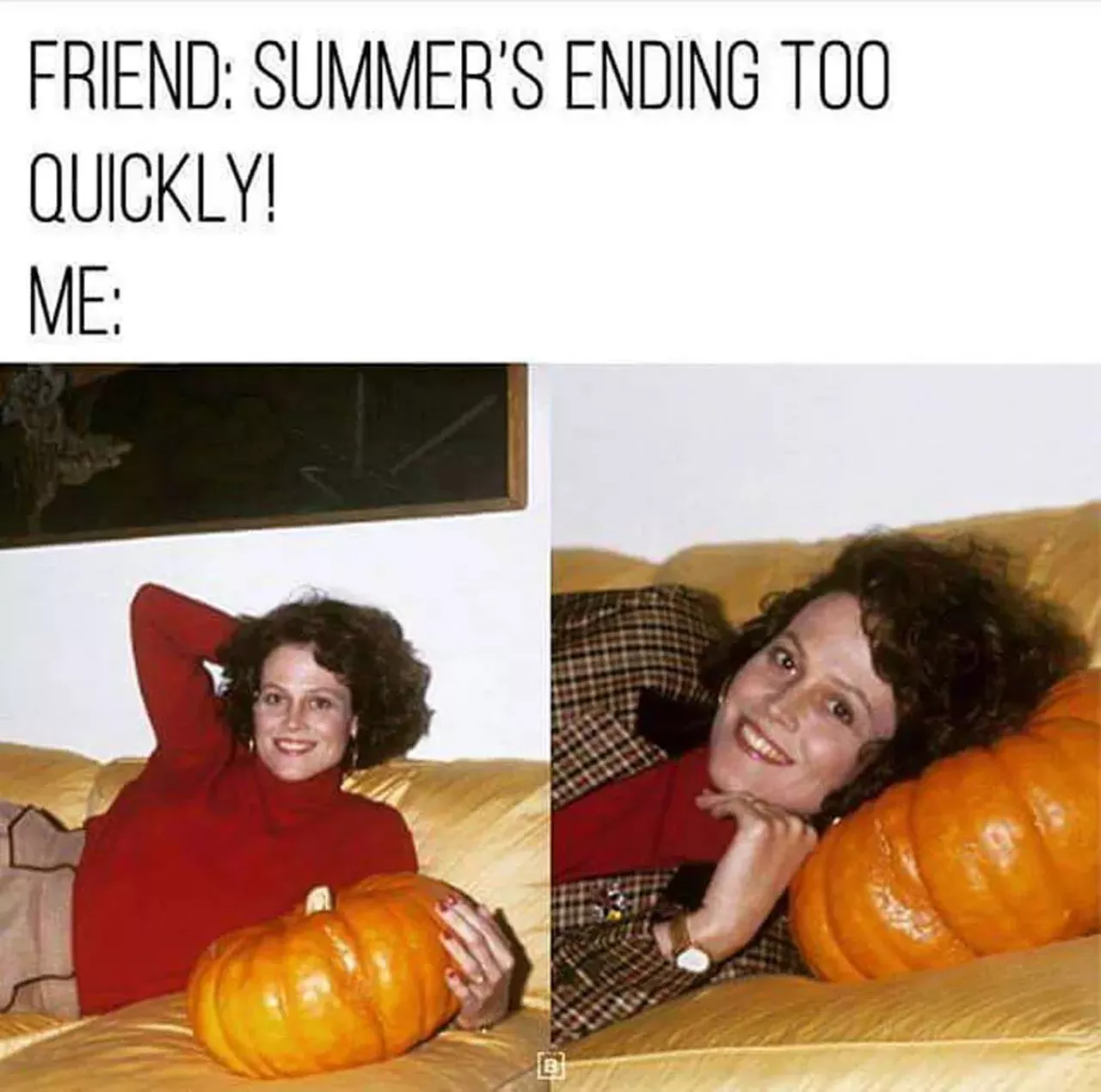 13 of the best pumpkin memes to make your day a little better