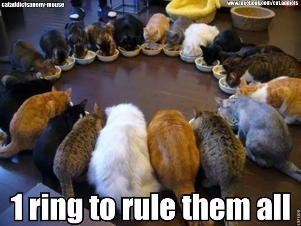 Via Cat Planet