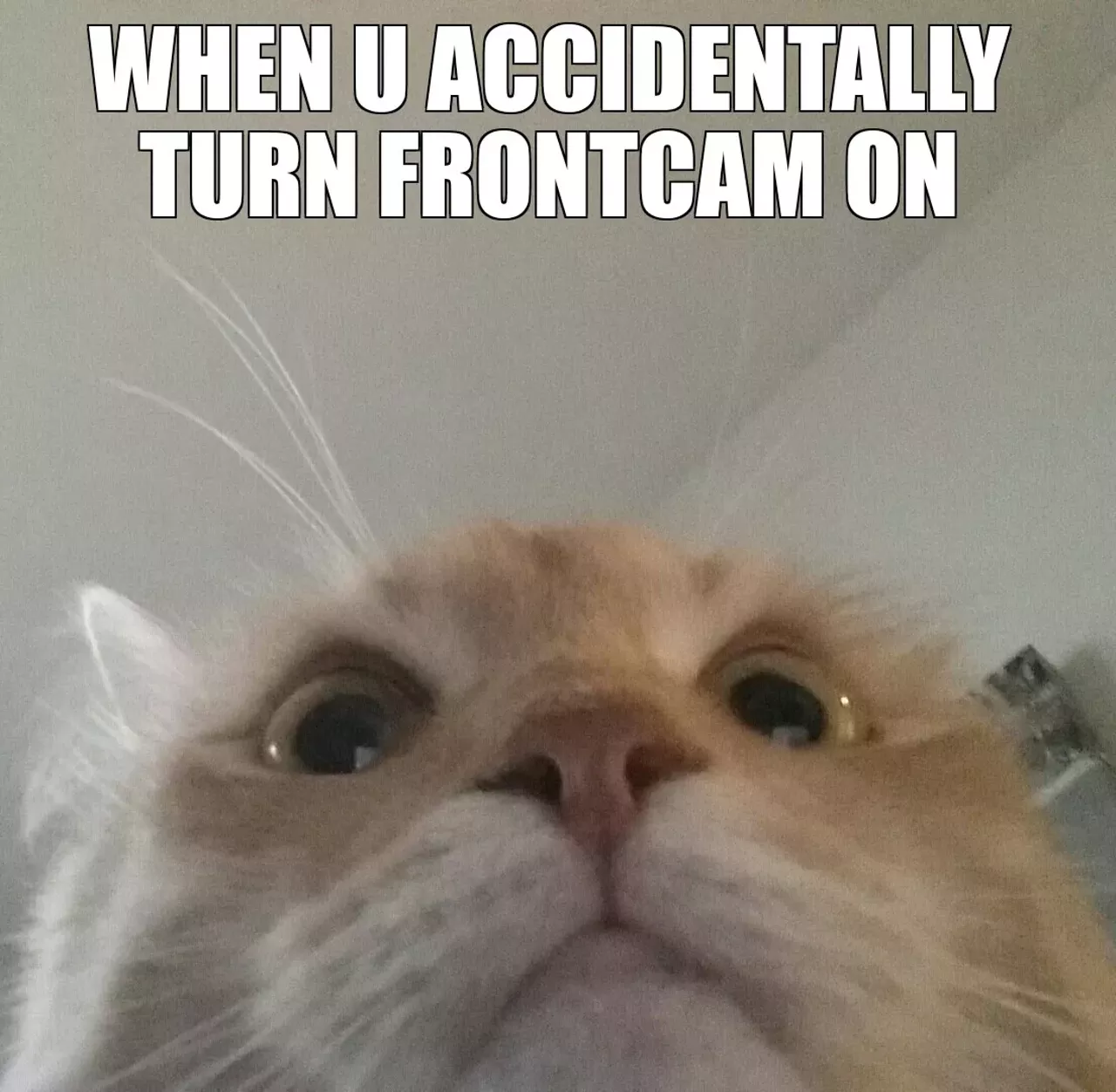 Via Imgur