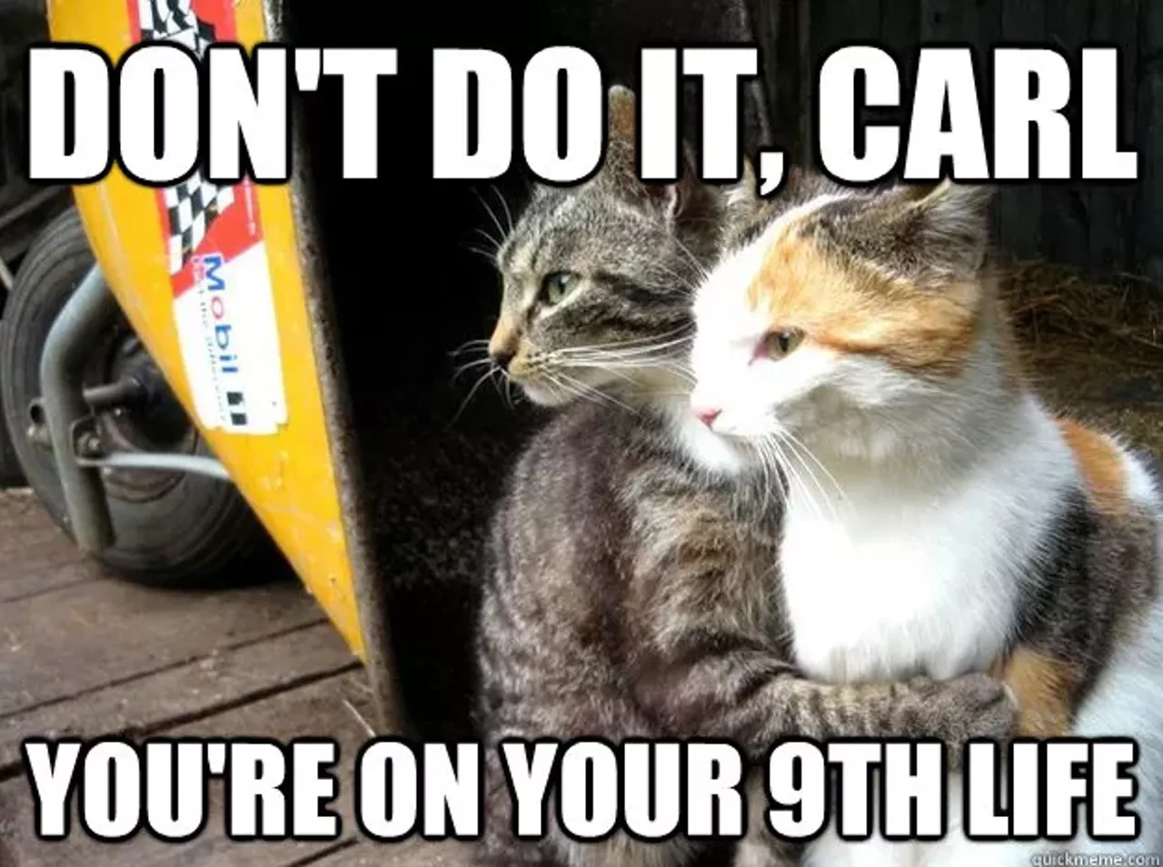 Via Pet Naturals