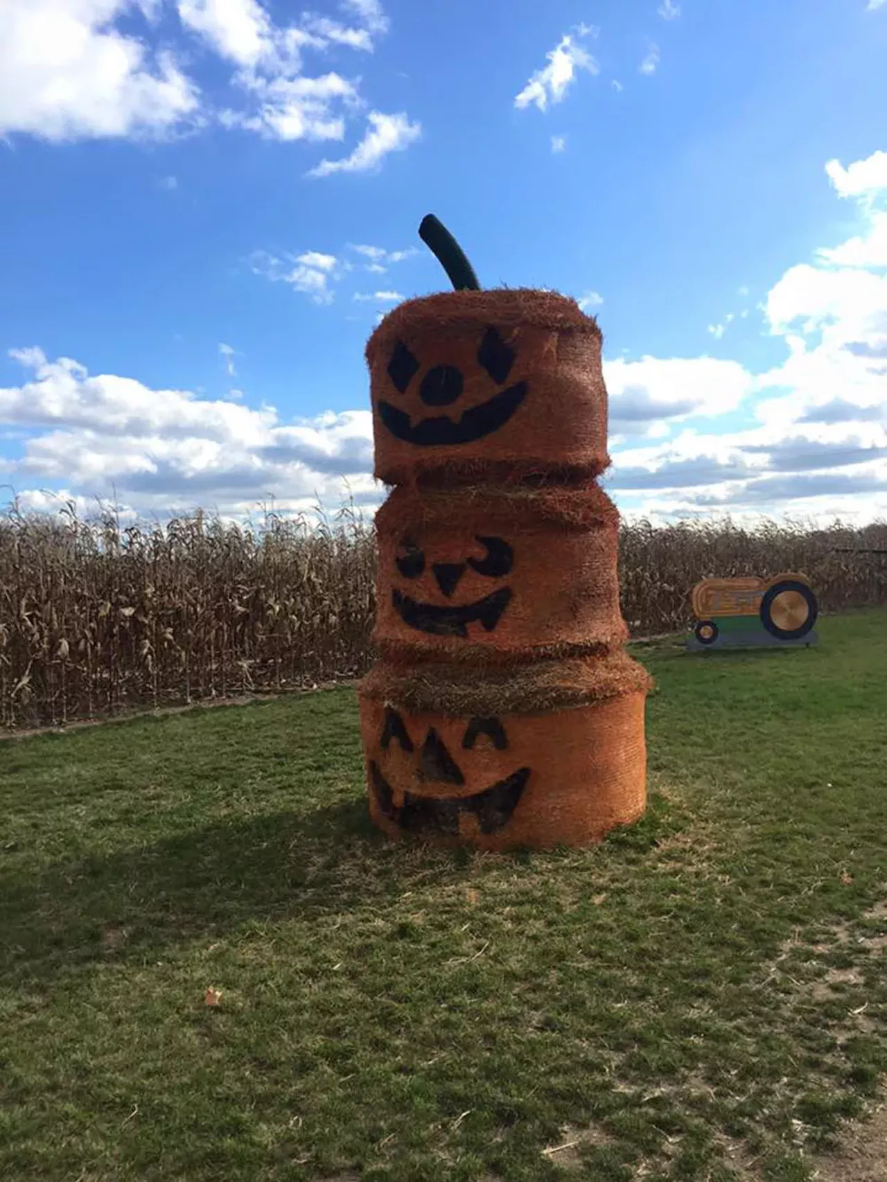 Blast Corn Maze Located in Dexter, this corn maze is 10 acres long and with 3 and a half miles of trails within the maze. If you&#146;re in need of a workout, this is your place. 6175 Daly Rd., Dexter 734-845-7127 Friday 5-10 p.m.; Saturday 11 a.m.- 10 p.m.; Sunday 11 a.m.- 8 p.m.