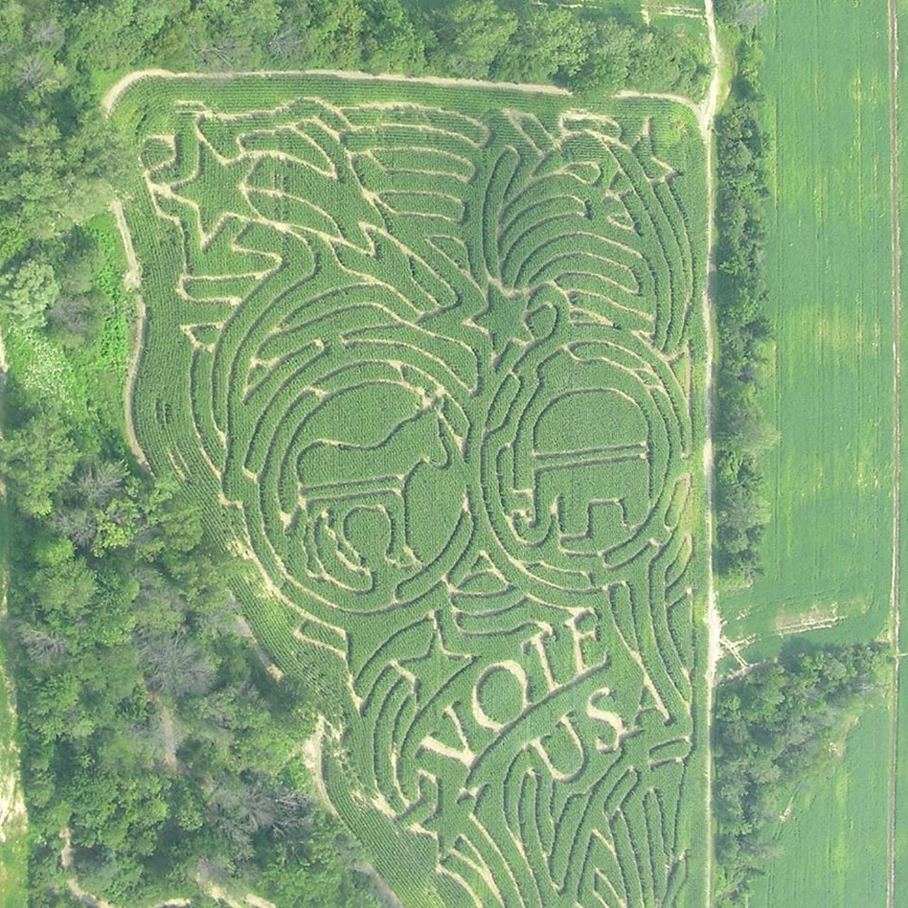 Cornfun Corn Maze 
Cornfun Corn Maze (try saying that 5 times in a row) has one of the coolest corn maze design we&#146;re seen all year. It is celebrating this year&#146;s election with a &#147;VOTE USA&#148; message designed in the corn. This place also has hayrides, a pumpkin patch, and a petting zoo. 
9391 Lindsey Rd., Casco, MI
586-365-9401
Open till 10 p.m. on the weekends.