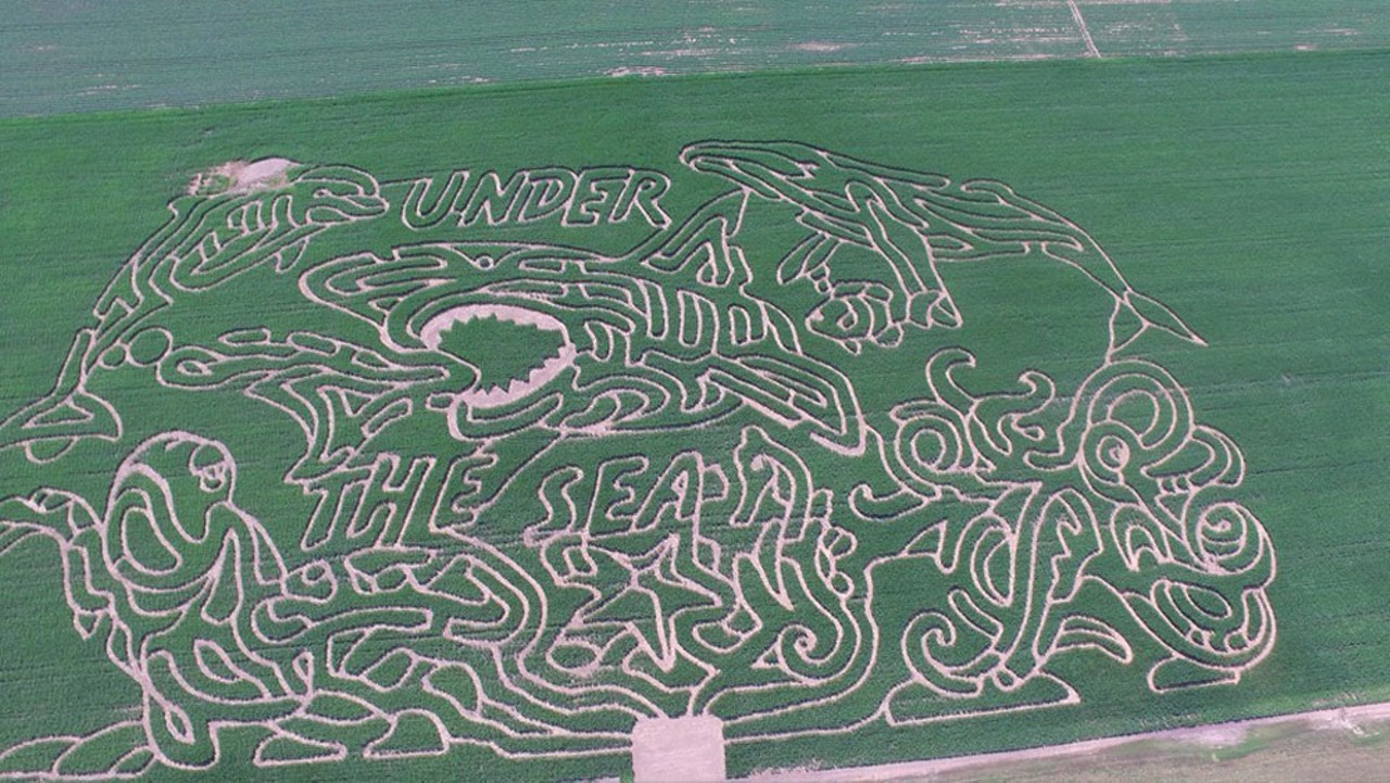  Farmer J&#146;s Corn Maze Fun,br>
Up until Oct 30, you and your family and friends can check out this incredibly intricate corn maze that is located in Dundee, MI. This year&#146;s corn maze looks like so much fun that is filled with lots of twist and turns. 
16405 Pherdun Rd., Dundee 
734-717-2376
Open Friday 6 p.m. - 10 p.m. & Sat-Sun 1 p.m.- 10 p.m.