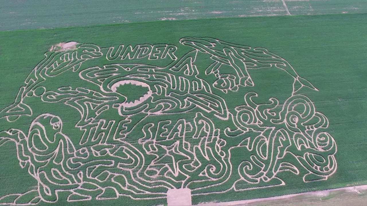  Farmer J&#146;s Corn Maze Fun,br> Up until Oct 30, you and your family and friends can check out this incredibly intricate corn maze that is located in Dundee, MI. This year&#146;s corn maze looks like so much fun that is filled with lots of twist and turns. 16405 Pherdun Rd., Dundee 734-717-2376 Open Friday 6 p.m. - 10 p.m. & Sat-Sun 1 p.m.- 10 p.m.