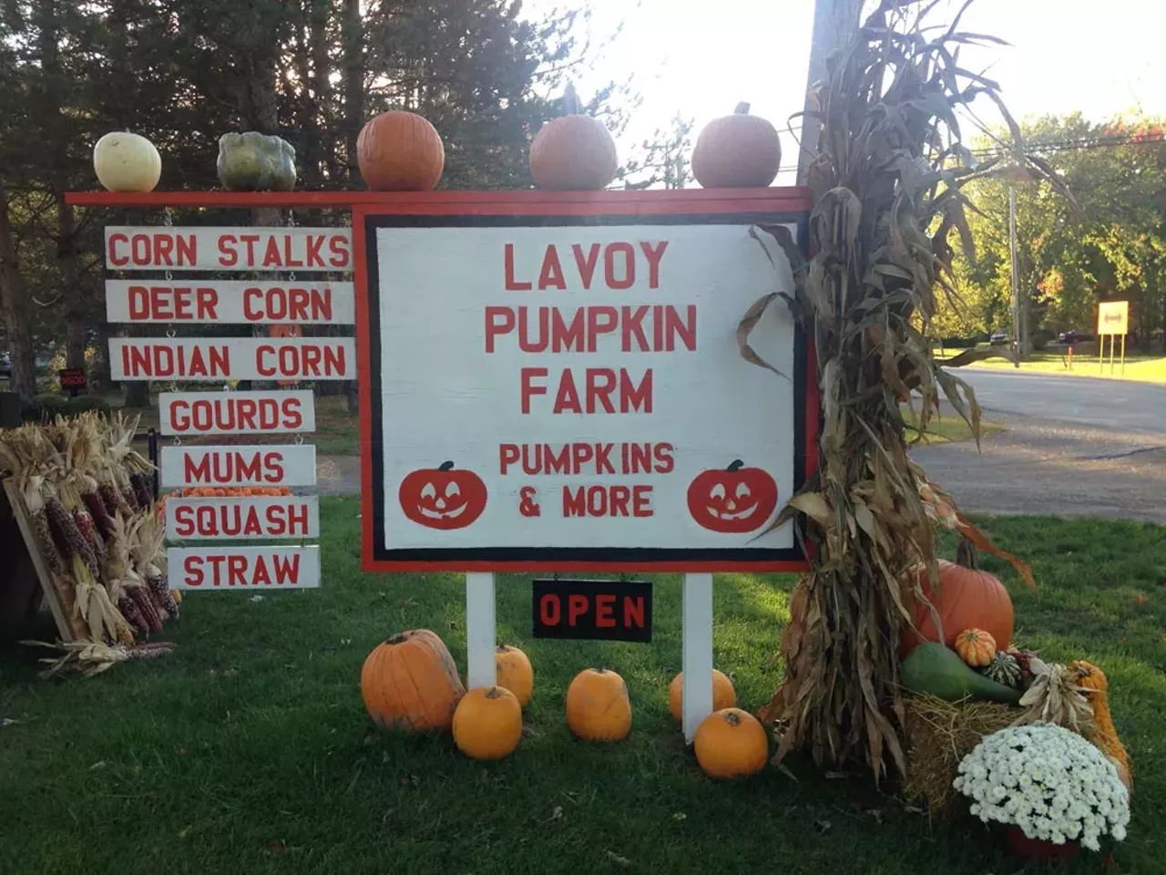 LaVoy Pumpkin Farm If there ever was a place to get all your fall decorations then it would be this spot. LaVoy Pumpkin Farm has been in business for over 50 years and they have it all: pumpkins, gourds, corn, corn stalks, mums, and straw. Your house will be looking Martha Stewert-chic if you head to this farm. 3115 W Rauch Rd., Temperance 419-261-9143