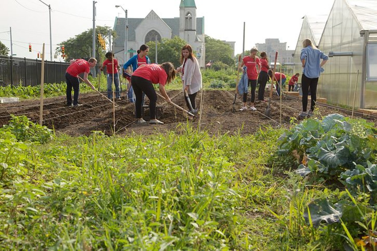 Give back and spend a date volunteering together 
Search for some organizations you admire or causes you believe in.     
Are you and your date both passionate and philanthropic? Plan ahead and connect with an organization or group that is working to make a positive difference. As the fall weather begins to shift towards chilly, with winter on the horizon, there are populations within every community that could use support or assistance. Whether it&#146;s spending some time at a food pantry or shelter, reading to young kids or even putting together blessing bags for the homeless. With this option, you can spend a day giving back - instead of spending any money. 