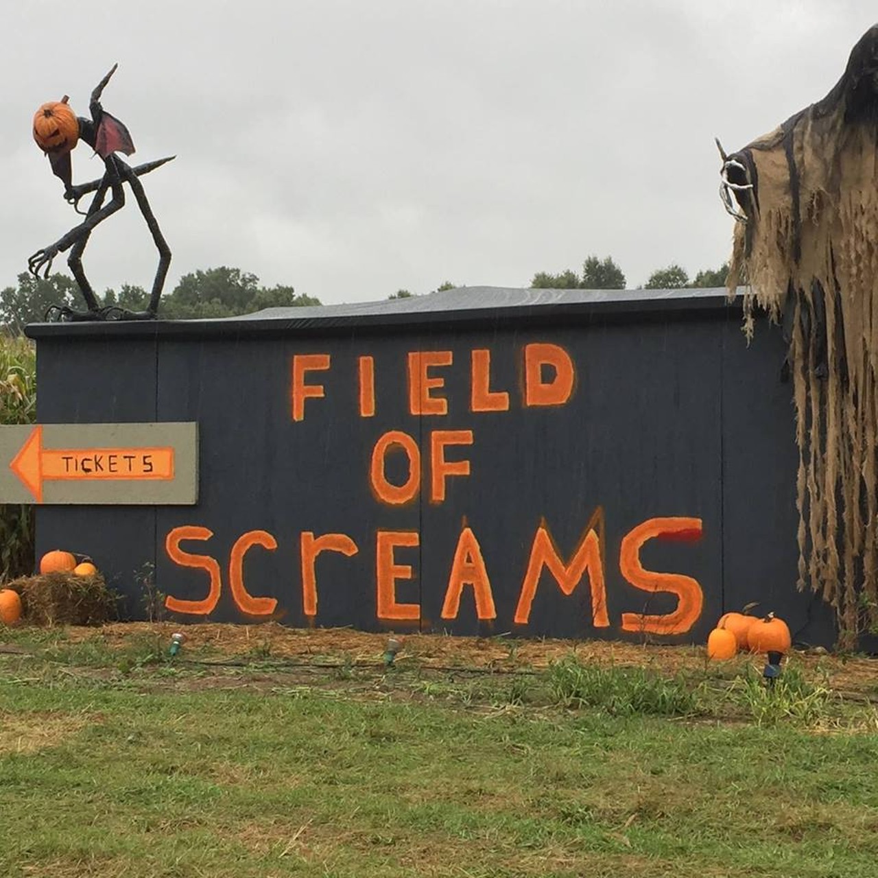 Field of Screams at Bonadeo Farms
1215 White Lake Rd, Highland Charter Twp.
248-787-4553
Another corn maze to visit is the one at Bonadeo Farms. Bonadeo has daytime activities one can enjoy with the family such as pumpkin patches, mazes, and cider and donuts. However, when the sun goes down that&#146;s when everything you love about Halloween comes into play with attractions like a haunted maze and house. Photo courtesy of Facebook