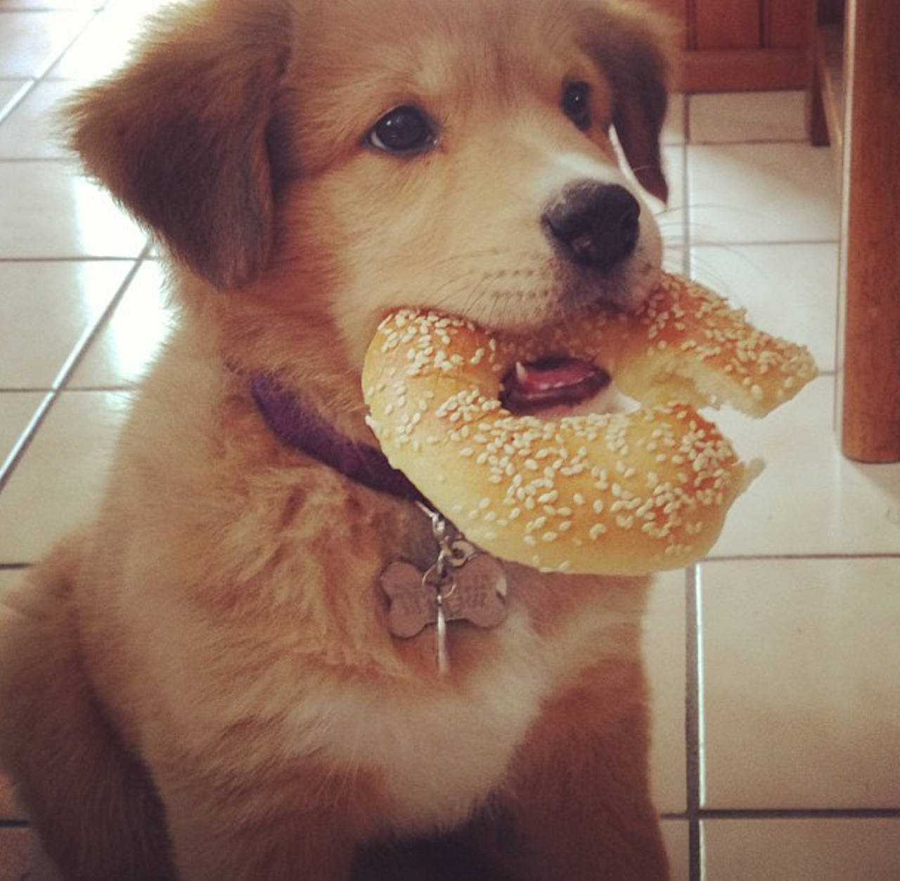 The Detroit Institute of Bagels (photo via Instagram)