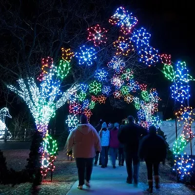 Wild Lights 8450 W. 10 Mile Rd., Royal Oak Wild Lights is a metro Detroit treasure. Held at the Detroit zoo every year, more than five million LED lights will illuminate trees, buildings, and more than 200 animal sculptures throughout the front half of the Zoo. More information is available at wildlights.detroitzoo.org.